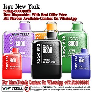 Best Isgo New York 8000 Puffs Disposable Vape