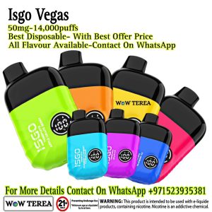 Best Isgo Vegas 14,000 Puffs 50mg Disposable