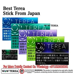 Best Terea Stick From Japan