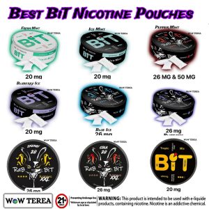 Best BiT Nicotine Pouches